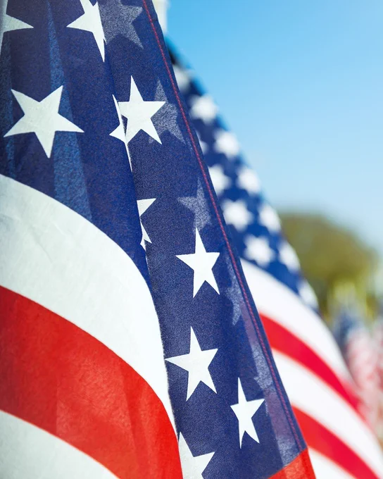 Photo of American flags.
