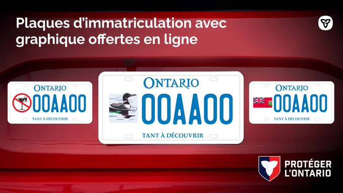Plaques d’immatriculation avec graphique à l’arrière d’une voiture
Texte : Plaques d’immatriculation avec graphique offertes en ligne