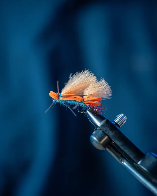 Close up view of orange and blue fly fishing lure. 