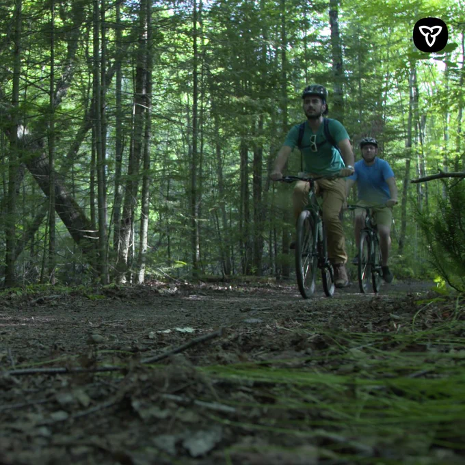 Image of two men biking on a trail.