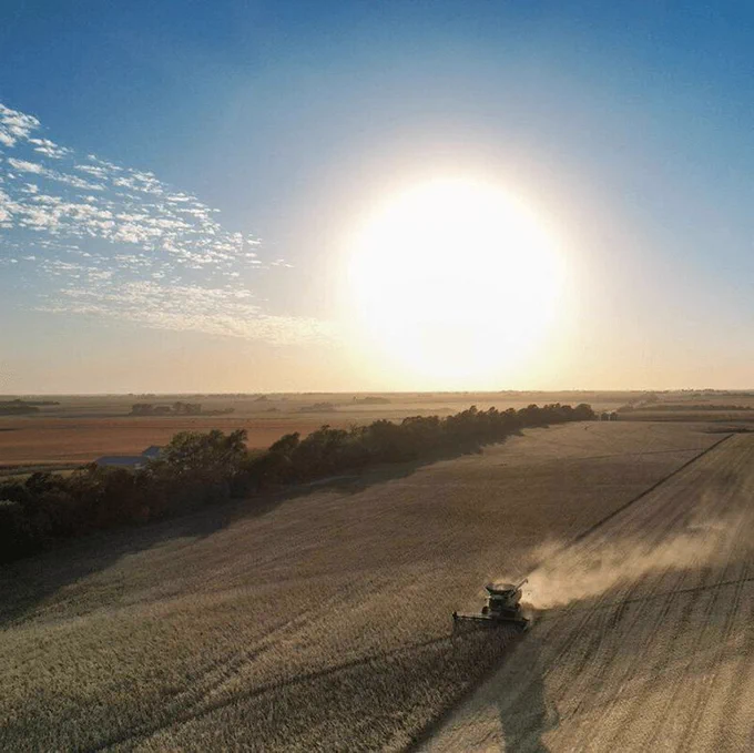 Ariel view of a combine harvesting corn with the sun setting in background. 