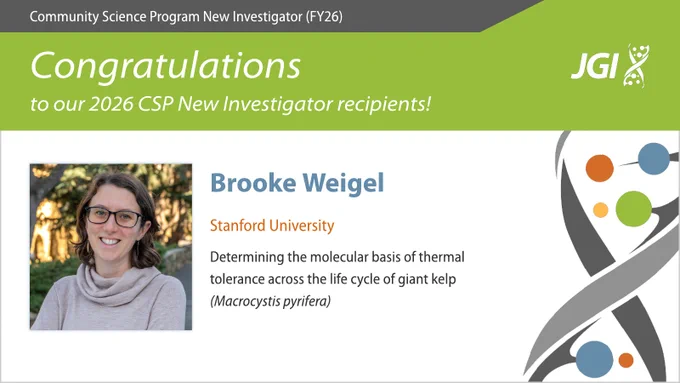 Community Science Program New Investigator (FY26)
Congratulations to our 2026 CSP New Investigator recipients!
Brooke Weigel
Stanford University
Determining the molecular basis of thermal tolerance across the life cycle of giant kelp (Macrocystis pyrifera)