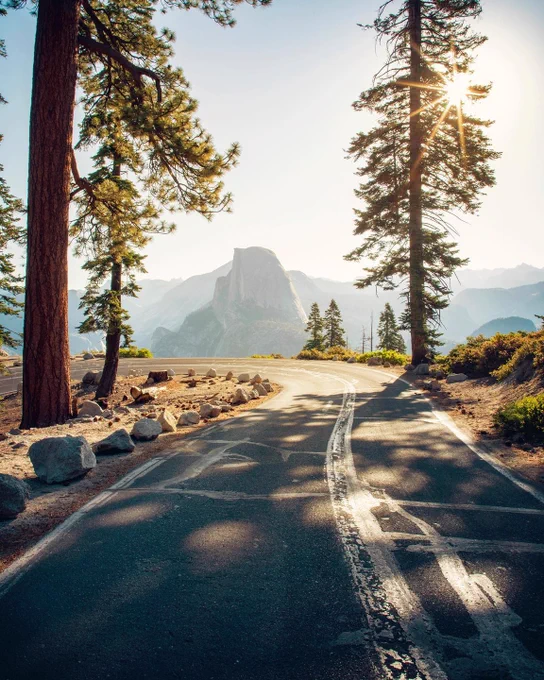 A scenic road winding through a forested area in Yosemite National Park, with tall pine trees on either side. In the background, the iconic Half Dome rock formation is visible under a clear sky, with sunlight filtering through the trees.