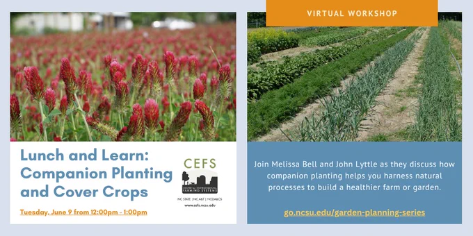 Photo of cover crops and rows of crops with text "Lunch and Learn:
Companion Planting and Cover Crops" and "Join Melissa Bell and John Lyttle as they discuss how companion planting helps you harness natural processes to build a healthier farm or garden."