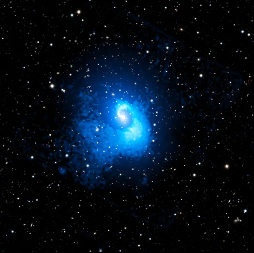 This release features a composite image of a galaxy cluster with a unique spiral shape, giving it the appearance of a giant galactic seashell floating in the star-speckled blackness of space.

In this composite image, the surrounding stars and individual galaxies appear white, captured in optical light from Pan-STARRS, a telescope in Hawaii. But much of the spiraling cluster is rendered in neon blues, representing X-ray gas observed by Chandra. This super-heated gas fills the space between galaxies, giving the cluster its spiral shape when observed by scientists using an X-ray telescope.

Here, the blue spiral begins as a pale blue dot at the center of the cluster. The spiral stream of light and dark neon blue gas then widens as it moves away from the center of the cluster, gently corkscrewing one full rotation as it extends two-million lightyears into the distance.

Credit: X-ray: NASA/CXC/CfA/C. Watson et al.; Optical: PanSTARRS; Image Processing: NASA/CXC/SAO/N. Wolk and P. Edmonds