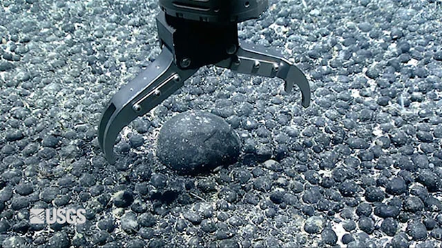 A robotic arm collects a large ferromanganese nodule from the seafloor, which is covered with many smaller nodules. These round, dark rocks are rich in critical minerals. Photo Credit: The U.S. Geological Survey (USGS). 