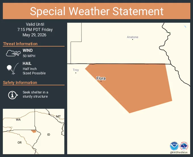 This graphic displays a special weather statement plotted on a map. The statement is in effect until 7:15 PM PDT.  The statement includes Flora OR.  A STRONG THUNDERSTORM WILL IMPACT NORTH CENTRAL WALLOWA COUNTY THROUGH 715 PM PDT. The threats associated with this storm are wind gusts up to 50 MPH and half inch sized hail. Seek shelter in a sturdy structure until the storm passes.