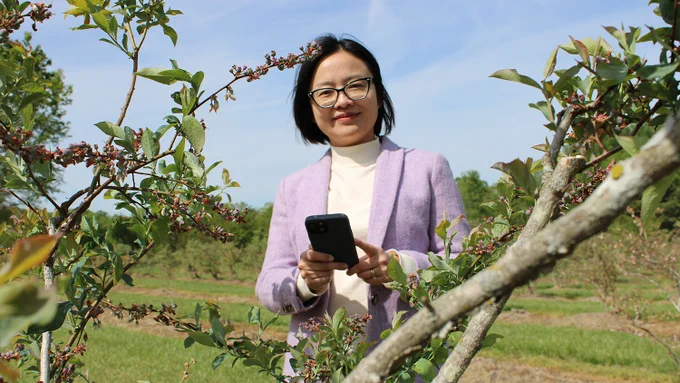 Jing Zhang in a purple blazer holding a phone behind blueberry bushes under a clear blue sky. 