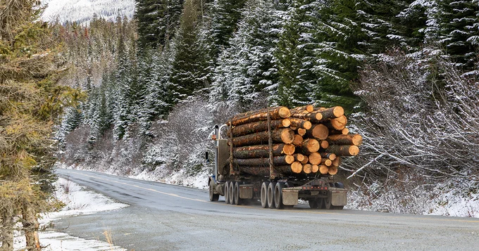 A truck is transporting a large load of logs on a snowy, forested road with evergreen trees lining the sides. Snow covers the ground and tree branches, creating a wintry landscape.