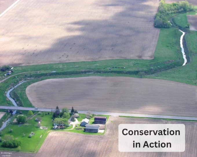 An aerial photo of cropland with a buffered stream running through it showing conservation in action.