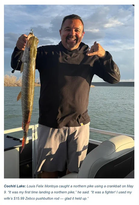 Cochiti Lake: Louis Felix Montoya caught a northern pike using a crankbait on May 9. “It was my first time landing a northern pike,” he said. “It was a fighter! I used my wife’s $15.99 Zebco pushbutton rod — glad it held up.” Image is of Montoya standing in a boat on the lake holding the fish.