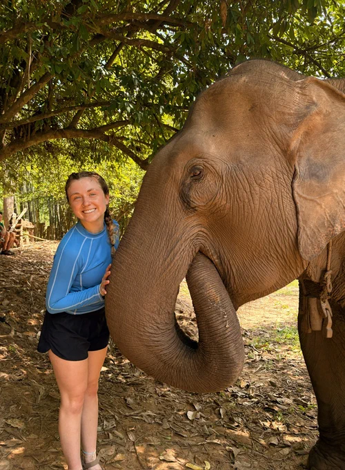 The picture shows a person smiling while standing next to an elephant. The setting is outdoors with trees in the background. The person is dressed in a blue long-sleeved top and black shorts. The ground is covered in dried leaves.