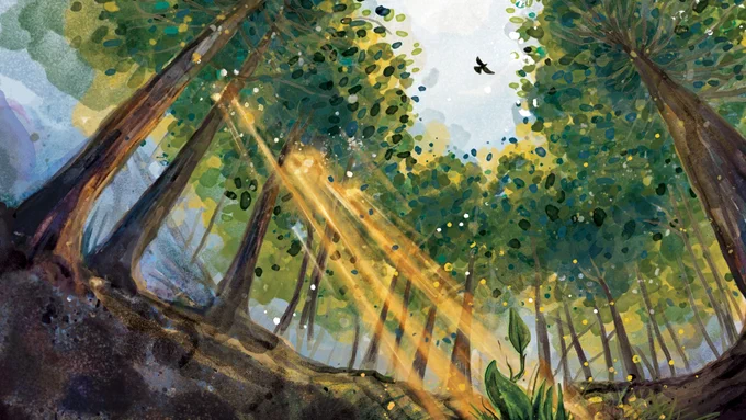 In this illustration, a small plant is visible from just below the ground, with a seed's-eye-view of dense trees, the sky, sunbeams, and a bird
