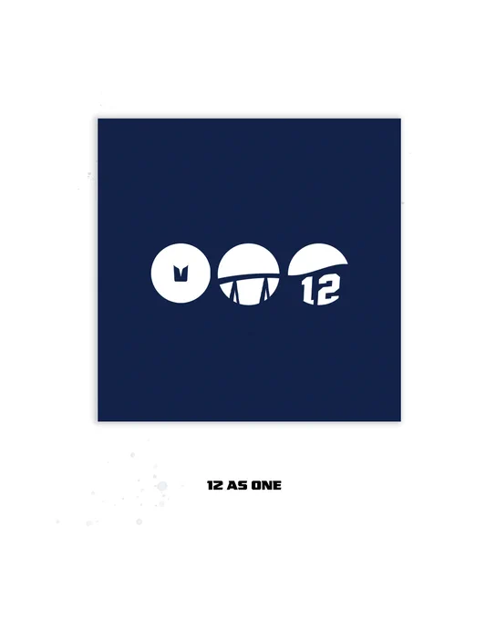 Fan parody version of the BTS Arirang album. 