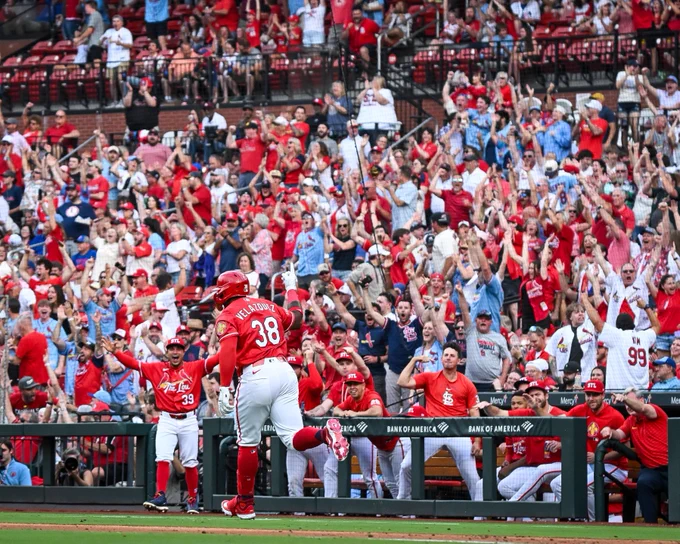 The crowd at Busch Stadium and the Cardinals dugout both erupt in celebration after Nelson Velázquez's home run on Friday night.
(Photo: Ali Overstreet/Major League Baseball)
