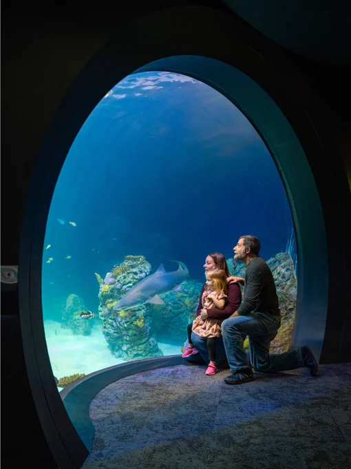 SEA LIFE Kansas City Aquarium
