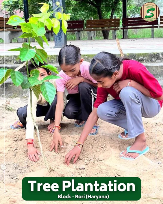 A sapling planted with love today becomes a shade of hope tomorrow.🌱

Beautiful moments like these remind us that when values of kindness and care are passed to children, a greener future is born. Volunteers from Rori, Haryana, are inspiring the next generation to nurture Mother Earth by following the teachings of Saint Dr. Gurmeet Ram Rahim Singh Ji Insan.