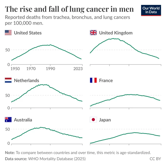Small multiple line charts of reported male deaths from trachea, bronchus, and lung cancers per 100,000 men for six countries from 1950 to 2023, where each country shows a rise to a mid-to-late 20th-century peak followed by a decline to 2023, with the United Kingdom and Netherlands peaking highest and Japan and France showing later, lower peaks. Source: WHO Mortality Database (2025). License: CC BY.