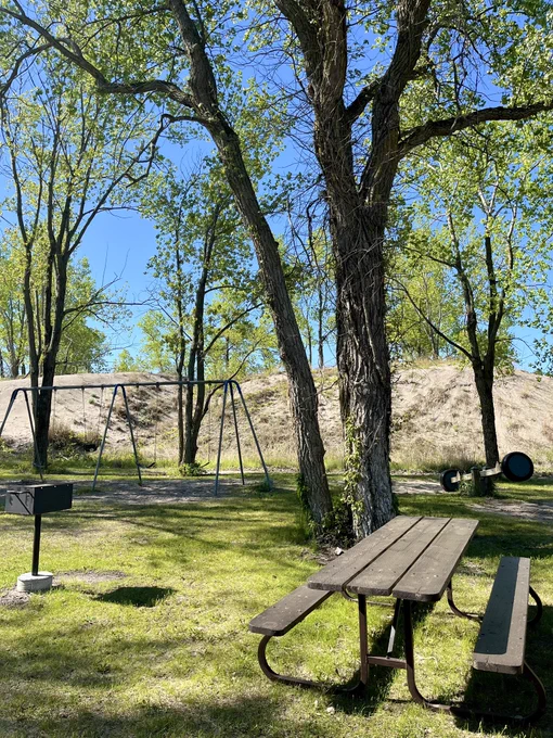 A picnic area with a picnic table, a charcoal barbeque, a swing set, and a teetertotter. The area is surrounded by trees and sand dunes.