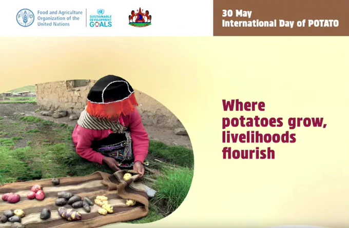 The third International Day of Potato will be observed on 29 May 2026 (as 30 May falls on a Saturday)under the theme Where potatoes grow, livelihoods flourish. The theme positions the role of potatoes in strengthening livelihoods for farmers and value chain actors —from the highlands of the Andes to Africa, Europe, Asia and beyond. By advancing potato farming and value chain development, the crop contributes to poverty reduction, resilience and more inclusive and sustainable agrifood systems.
