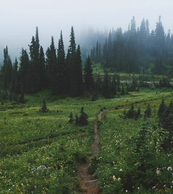 Photography by Justin Bushaw (@throughdarkforests)