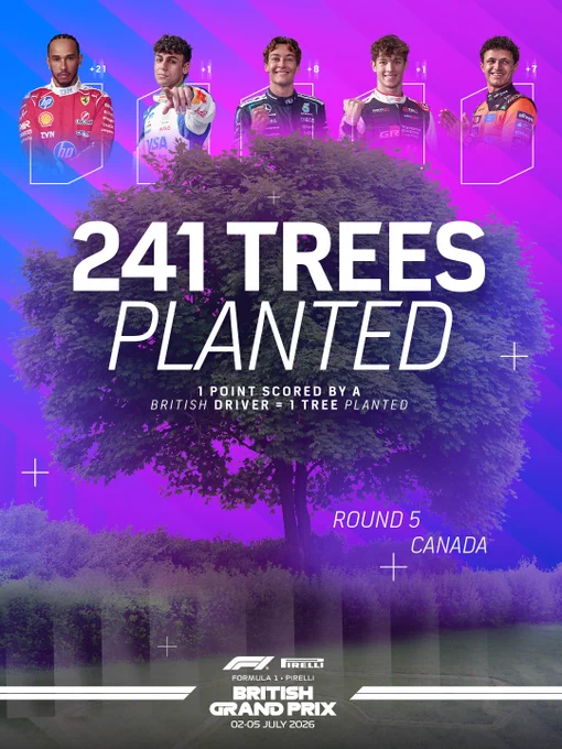 241 Trees Planted 