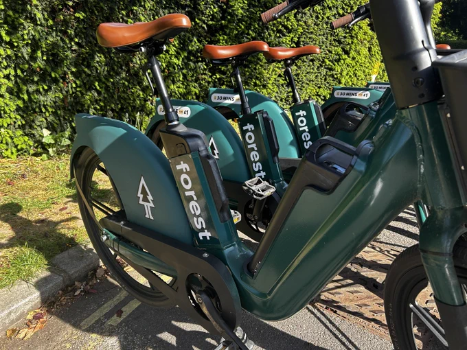 Forest bikes arranged in a line