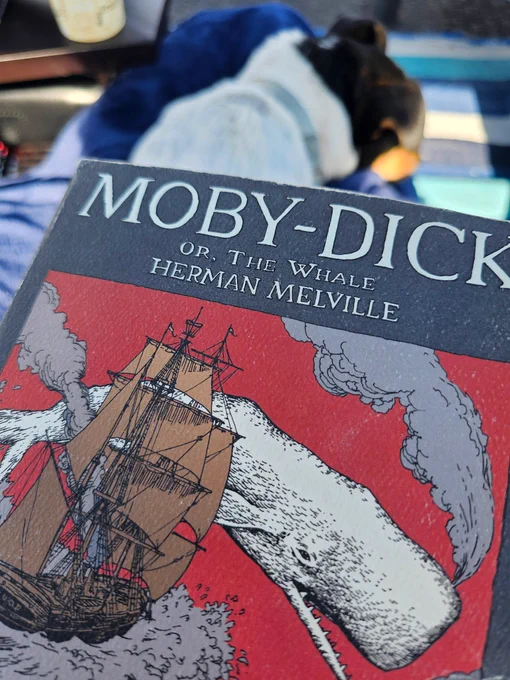 Moby Dick by Herman Melville book cover with wee dog in the background