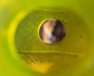 Connect, as seen through holes on a fluorescent ball.
