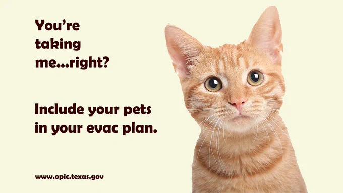 A cat asking, "you're taking me, right?" and the message to include your pets in your evacuation plan.