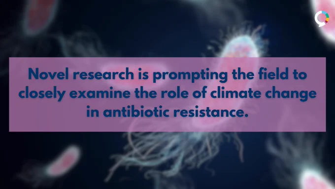 An image of bacteria with a navy blue text overlay that reads: “Novel research is prompting the field to closely examine the role of climate change in antibiotic resistance.”

