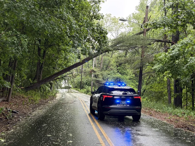 Police cruiser blocking a street as a tree rests on live power lines.