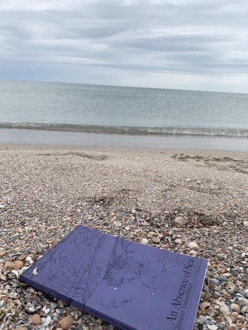 View of the Black Sea; on the sand, close to the waves, my latest book, An Absence of Sea
