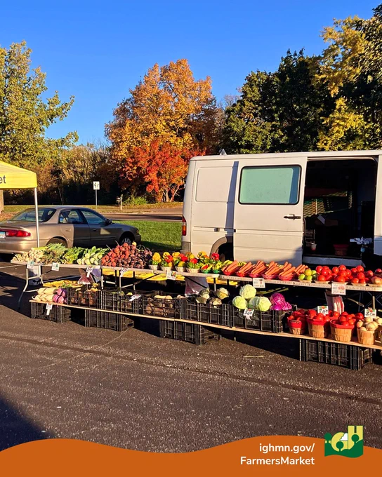 Outdoor farmers market stall with fresh vegetables displayed on tables beside a white van under clear blue sky.