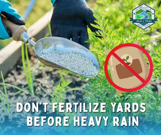 Close-up of a gloved hand holding a scoop of granular fertilizer near green plants with a warning not to fertilize before heavy rain.