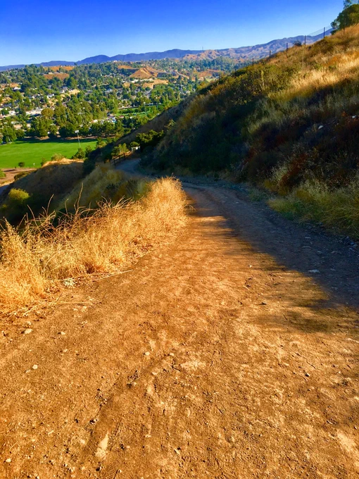  A dirt trail above Central Park.