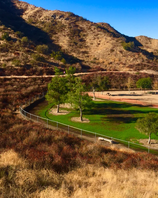 Dog area at Central Park in Santa Clarita. ​​