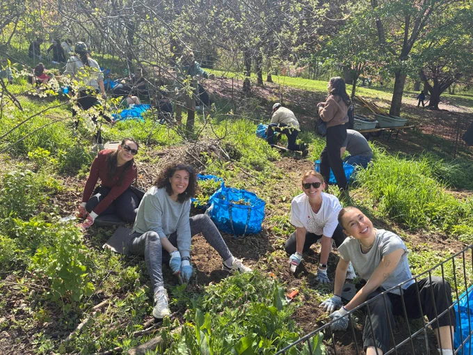 Group of people planting and gardening together in a sunny Prospect Park surrounded by green trees and grass.