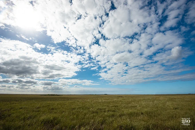 Vast grassland under a sky filled with fluffy clouds and bright sunlight. Horizon stretches with slight vegetation clusters. Text at bottom right: MIAMI-DADE 250 America.