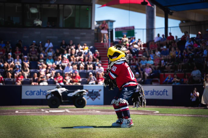 Slapshot steps up to the plate at Capital One Park.
