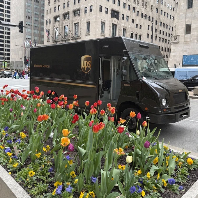 UPS truck in Chicago parked in front of a large planter of multi-colored tulips.