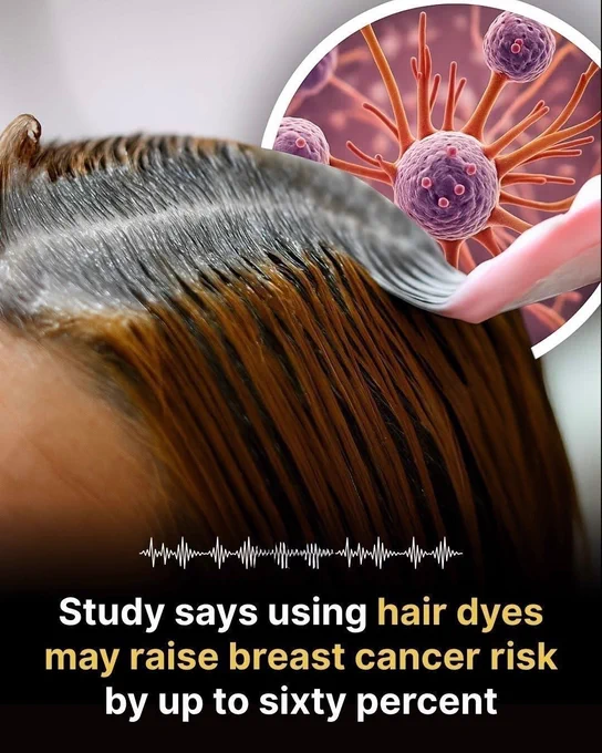 🚨 THE HIDDEN RISK IN YOUR HAIR ROUTINE? 

What if a product millions use every month could be linked to a higher risk of breast cancer?

Researchers tracking thousands of women found that frequent use of permanent hair dyes and chemical straighteners was associated with significantly higher breast cancer rates. Scientists believe certain chemicals may enter the body through the scalp and affect DNA or hormones over time.

The studies don't prove these products cause cancer, but the findings are raising important questions about what's really inside our beauty routines.

Source 
National Institutes of Health. Sister Study Finds Hair Dye and Chemical Straighteners May Increase Breast Cancer Risk. National Institute of Environmental Health Sciences.
