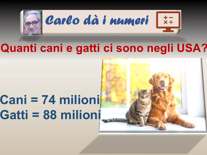 Quanti cani e gatti ci sono negli USA?
Cani = 74 milioni
Gatti = 88 milioni.