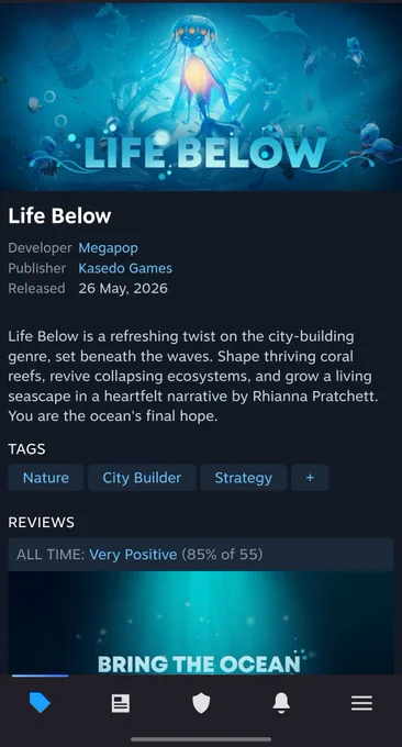 Print screen from the Games Steam Page showing the "Very Positive " tag