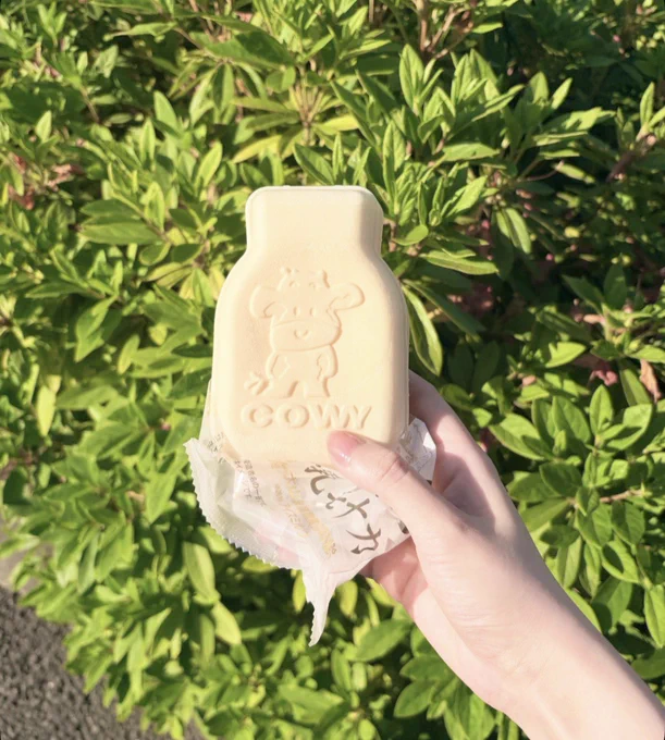 牛乳もなかアイスの写真🍨

アイスは溶けるから0カロリー…！！！
