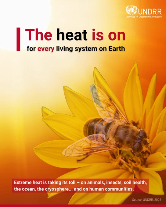 Close-up of a bee on a yellow flower with text highlighting extreme heat's impact on all living systems on Earth.