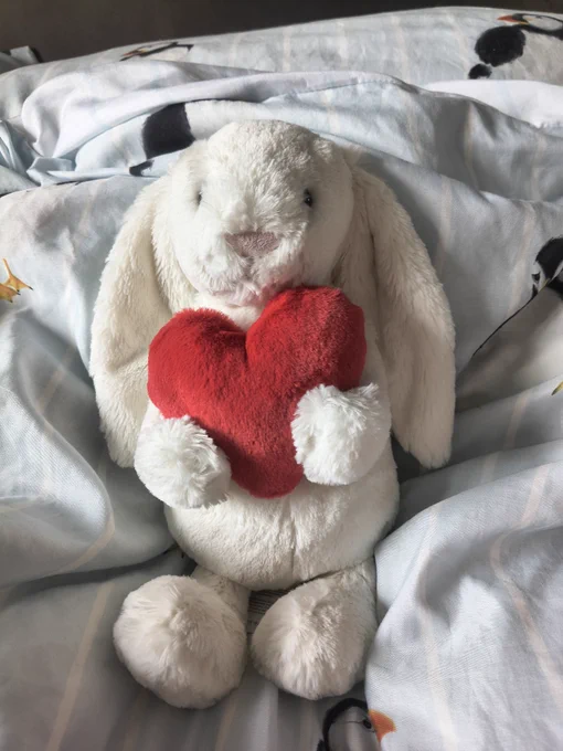 White Jellycat bashful bunny holding a red heart, sat on a bed with puffin duvet cover on.