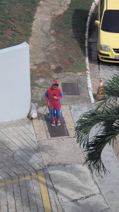 Spiderman walks his dog by @Xiat