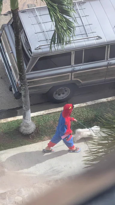 Spiderman walking with his 🐕 by @Xiat