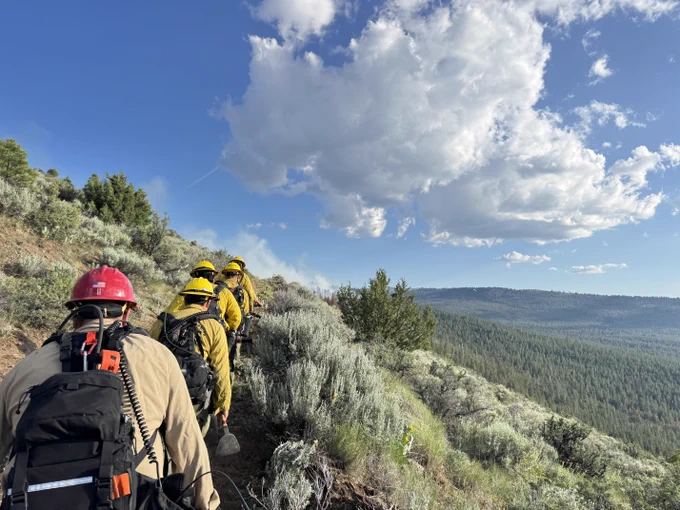 A group of firefighters in yellow gear hiking up a grassy hillside under a partly cloudy blue sky.